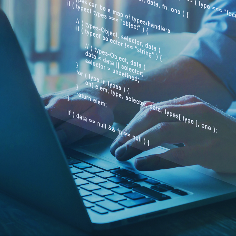 Oferta de empleo - Net Developer Winforms